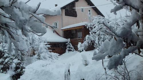 Apartamento Guesthouse Rakovica (4342)
