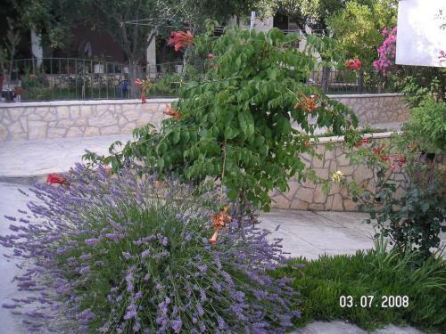 Apartamentos Studio Ljubac 14593a