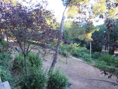 Apartamentos Dora