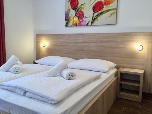 Bed & Breakfast Pansion Odmor