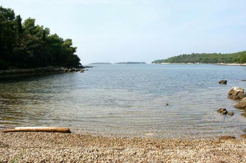 Apartment Rovinj 7195a