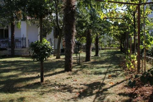 Apartment Rovinj 7195a