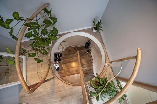 Apartments Babo
