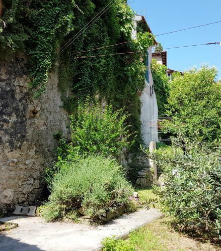Apartamento Old Town Garden Studios