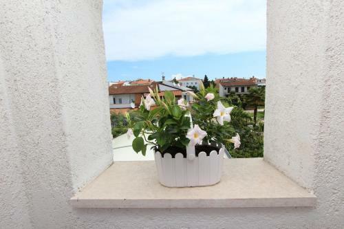 Apartment Bojana