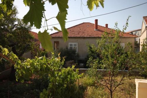 Apartment Sali 8136b