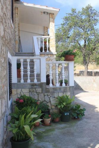 Apartment Sali 8084b