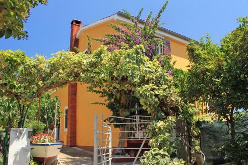 Apartment Sali 8110b