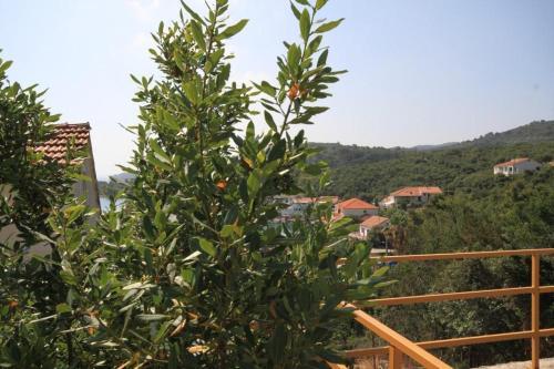 Apartment Zaglav 8134c
