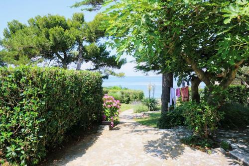 Villa Ana