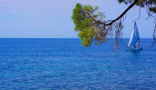 Sunflower Camping Savudrija