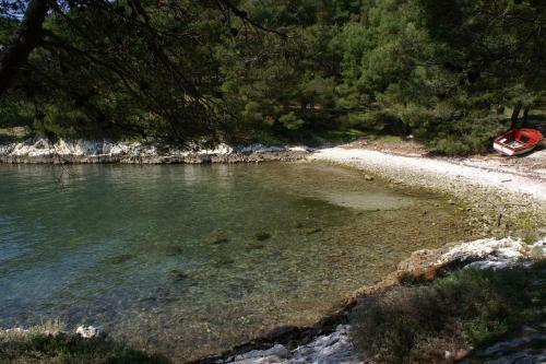Apartment Seget Vranjica 3079f