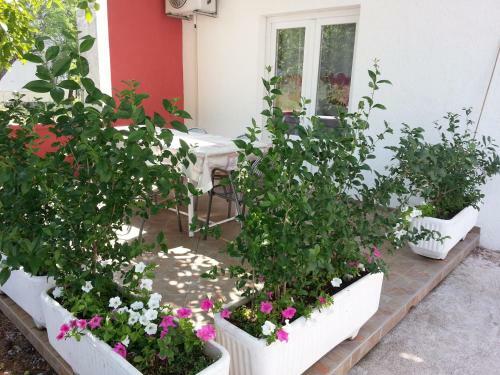 Hostal Guest House Marko