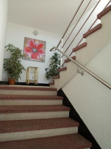 Hostal Guest House Marko