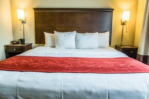 Hotel Comfort Suites Sarasota