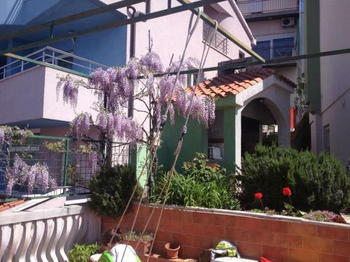 Apartments With Wifi Sibenik - 14387