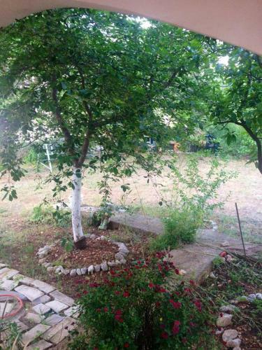 Apartment Brodarica 15588b