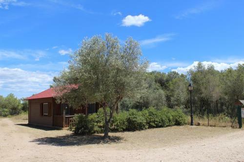 Rocaplana Club De Campo
