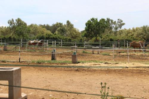 Rocaplana Club De Campo