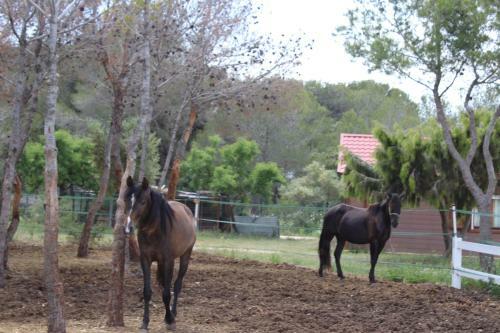 Rocaplana Club De Campo