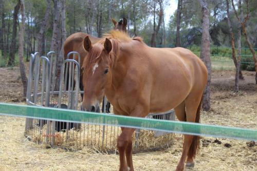 Rocaplana Club De Campo
