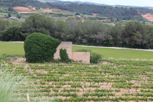 Rocaplana Club De Campo