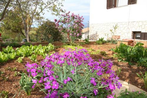 Apartments Frkovic