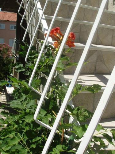 Apartment Slano 12576c