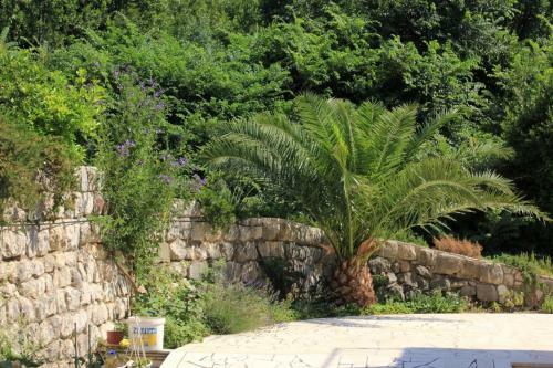 Apartment Slano 3184c