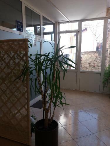 Apartment Soldan