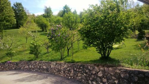 Hostal Rooms Ruza