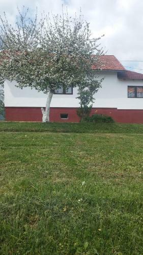 Apartment Antonela