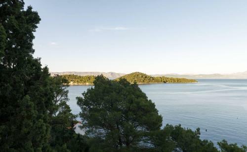 Apartments Anica