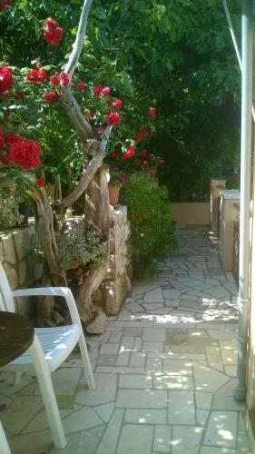 Apartments Anica