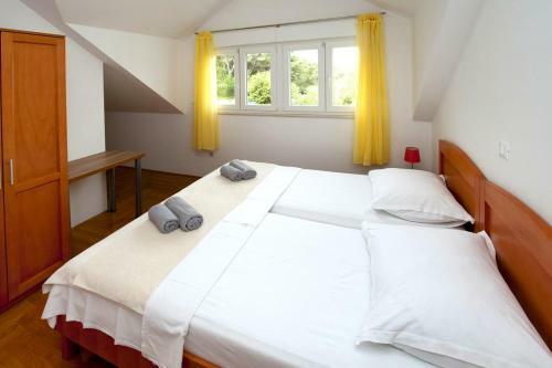 Apartment Split 11623a