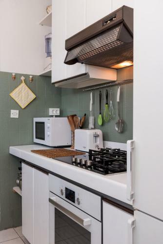Apartment Viki