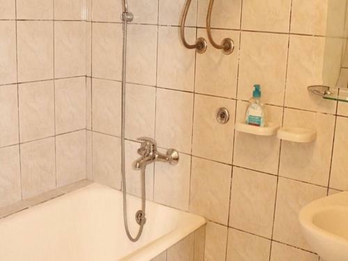 Apartment Hazi