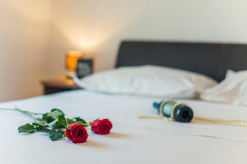 Apartamentos Royal Rest Split