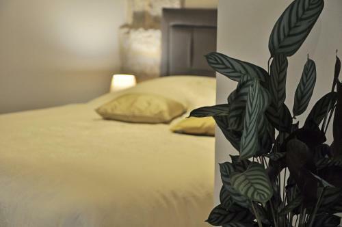 Hostal Guest House Stagnja