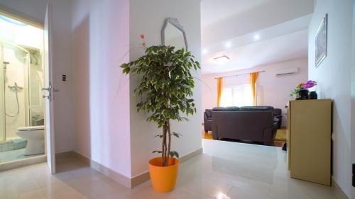 Apartment Boris P A1