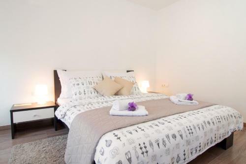 Hostal Guest House Vagabundo Imb