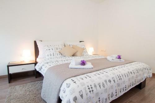 Hostal Guest House Vagabundo Imb