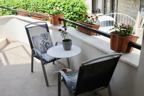Hostal Guest House Vagabundo Imb