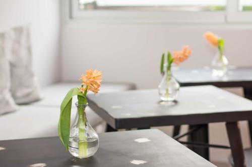 Apartamentos B&B Vibe