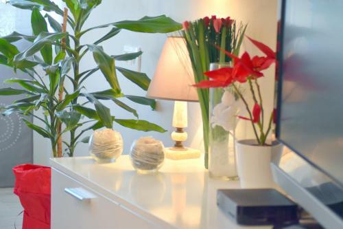 Apartment Medy