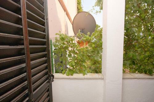 Apartment Maslinica 5180a