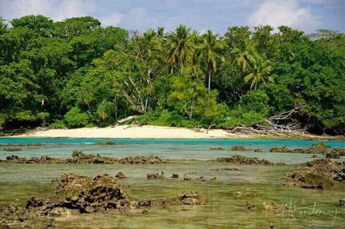 Hotel Hideaway Paradise Beach Bungalows