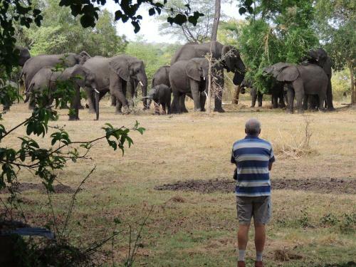 Lodge Bushbuck River House