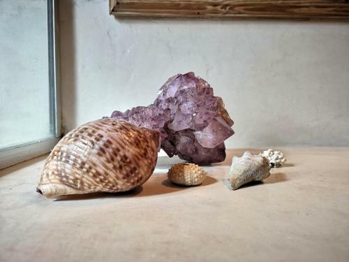 Posada Octogono Om Shanti