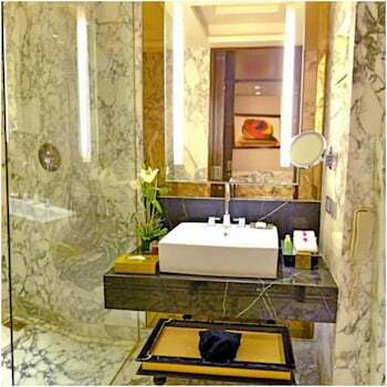 Radisson Blu Hotel Jaipur Airport